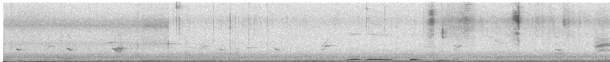 White-tailed Kite - ML153810641