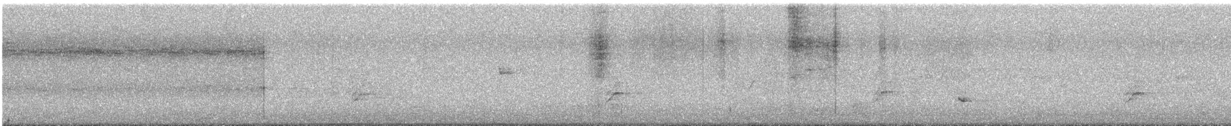 Élanion à queue blanche - ML153811351