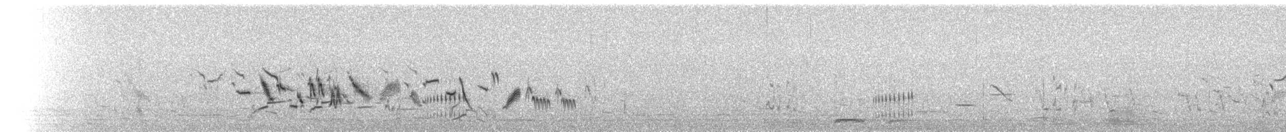 Chestnut-collared Longspur - ML153816621