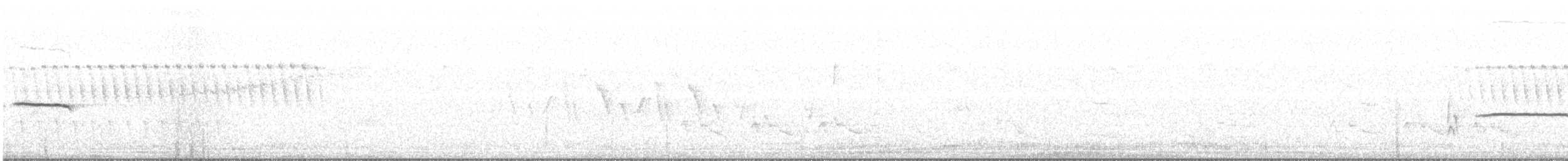 Белогорлая зонотрихия - ML153826821