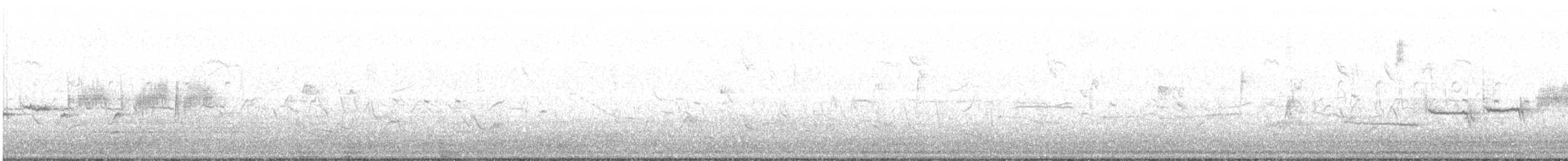 Dachsammer (leucophrys/oriantha) - ML153829261