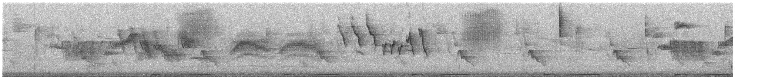 bånddue (fasciata gr.) - ML153844591