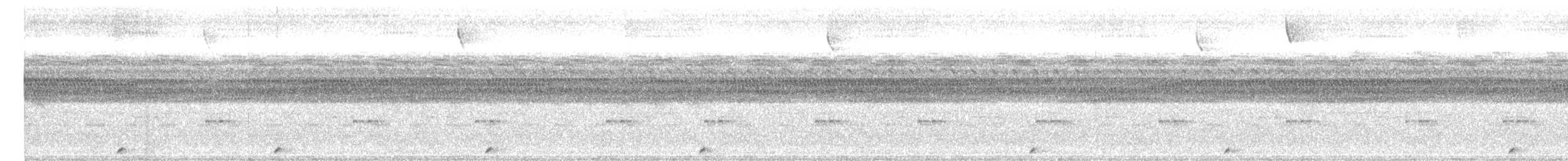 Pauraquenachtschwalbe - ML153880801