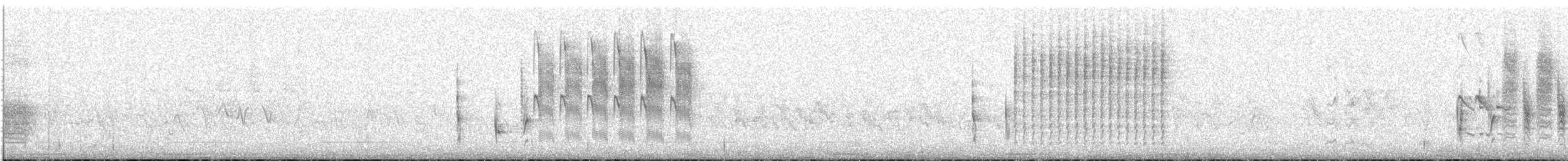 Troglodyte des marais - ML153901471