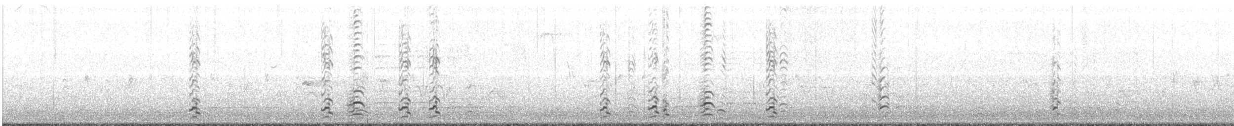 Малая канадская казарка (minima) - ML153909301