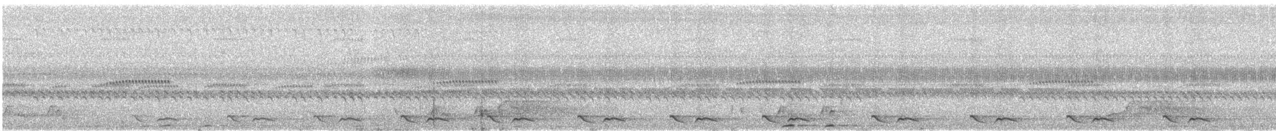 Salvinnachtschwalbe - ML153991361