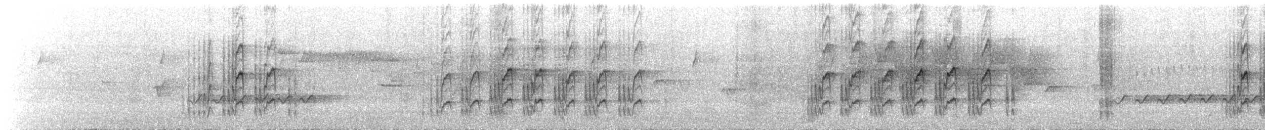 Charlatán Coronicastaño - ML154007431