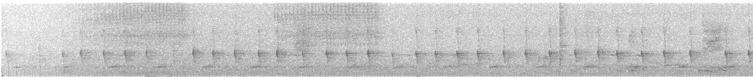 Колібрі-шаблекрил юкатанський (підвид excellens) - ML154021881