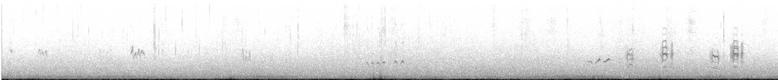 Bar-tailed Godwit - ML154114541