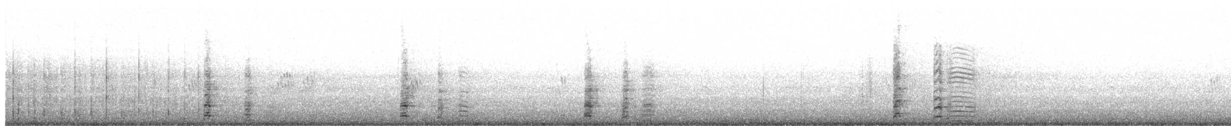 Coscoroba Swan - ML154307811