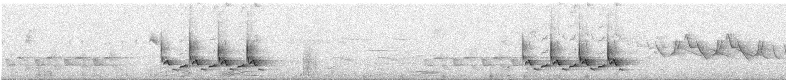Поплітник каролінський - ML154389851