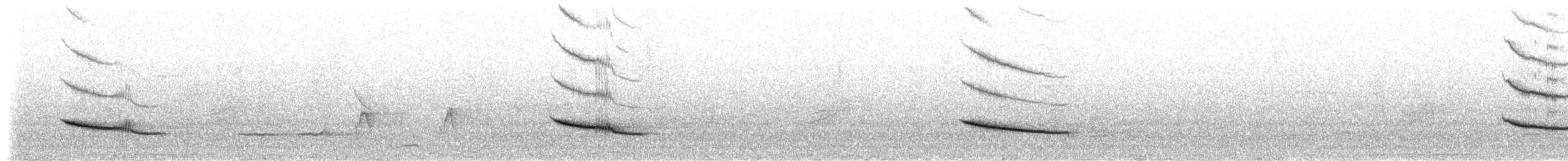 Rotmanteldrossel (rufopalliatus) - ML154398151