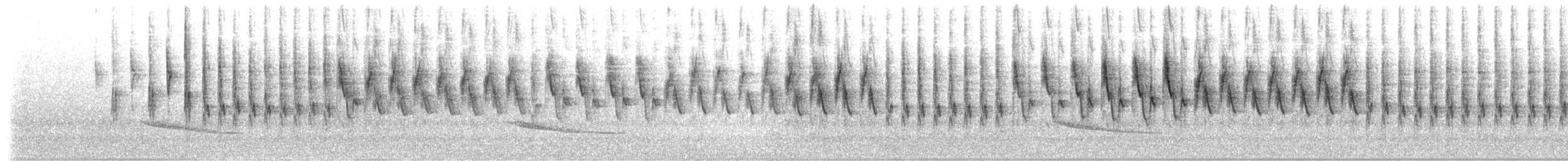 Rufous-capped Warbler (rufifrons Group) - ML154398751