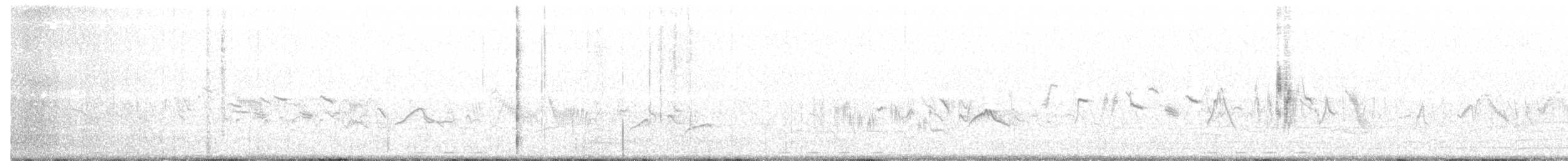 Western Black-eared Wheatear - ML154435561