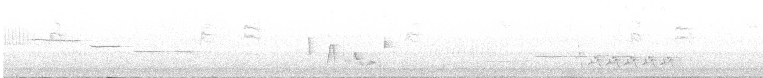 メジロモズモドキ - ML154482971