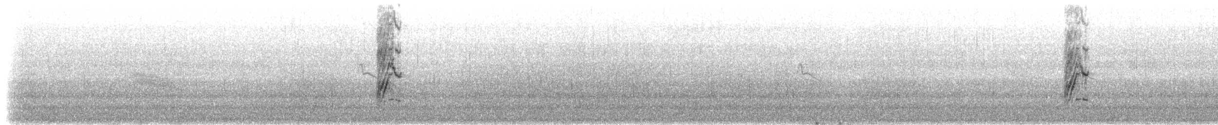 Woodhousehäher (sumichrasti/remota) - ML154513531