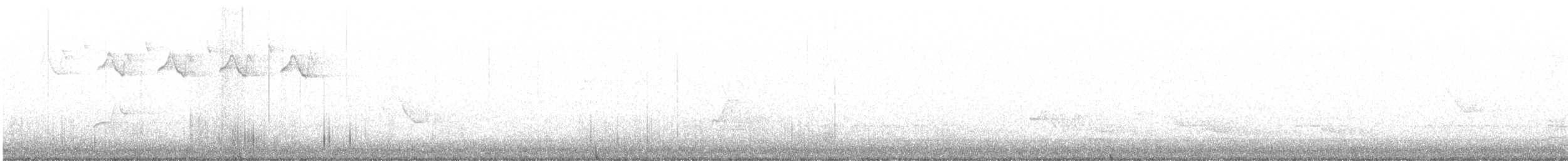 lesňáček černobílý - ML154546961