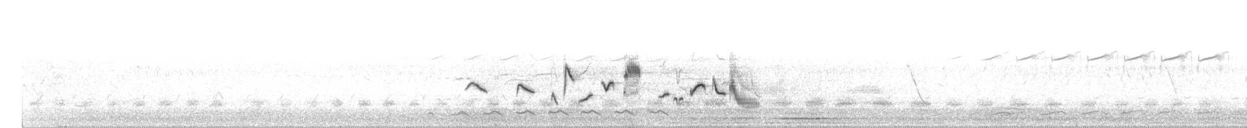 白斑黑石䳭 - ML154561151