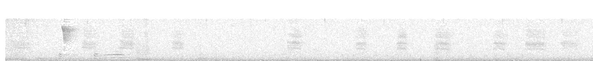 Swinhoe's Pheasant - ML154660821