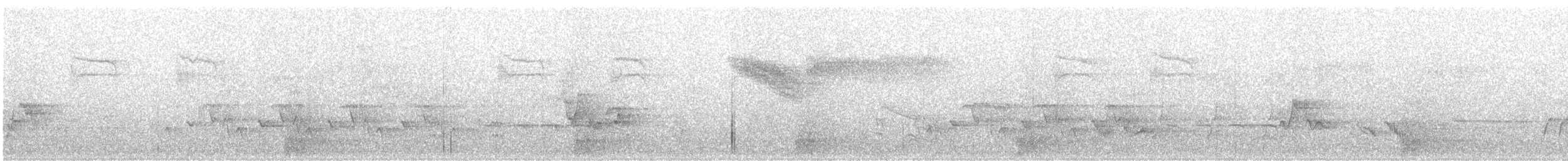 Голубокрылая червеедка - ML154724431