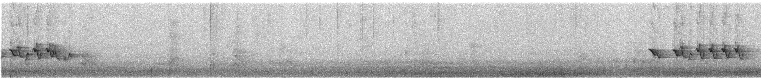 Кобальтовая гуирака (parellina/beneplacita) - ML154743481