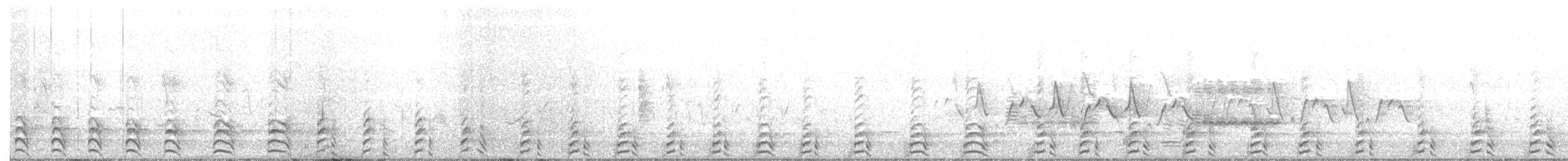Common Gallinule - ML154755381