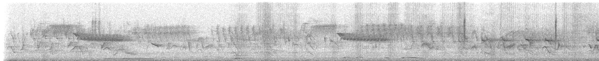 Dusky Hummingbird - ML154803501