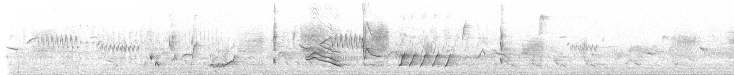 Moqueur ocellé - ML154808221