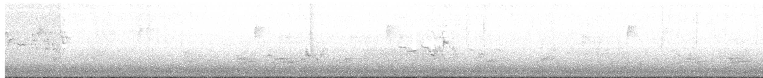 Дрізд-короткодзьоб плямистоволий - ML154815991