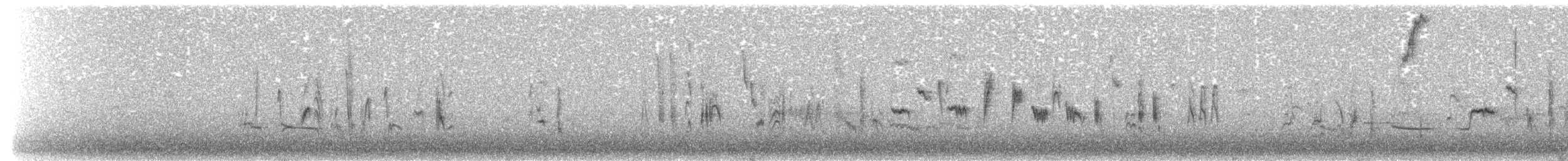 Тарчигнаа зэржгэнэ (curruca/blythi/halminodendri) - ML154862431