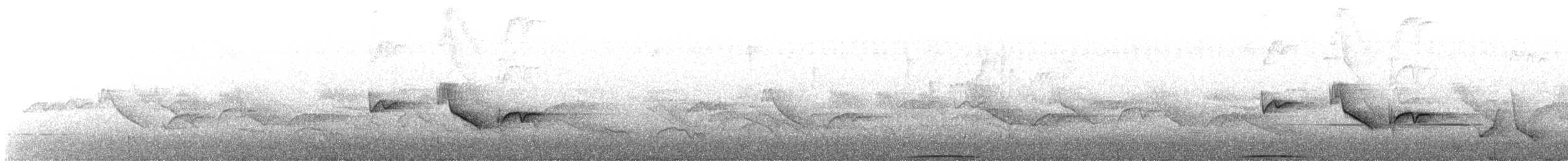 灰林鴿 - ML154904331