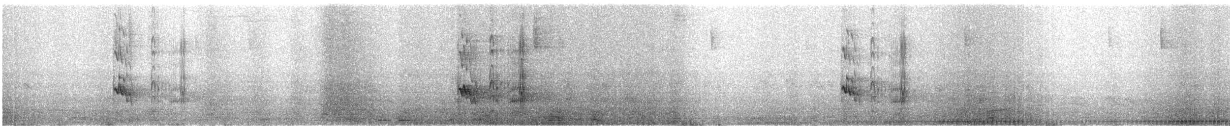 Pabuç Gagalı Tiran [mexicanus grubu] - ML154904921