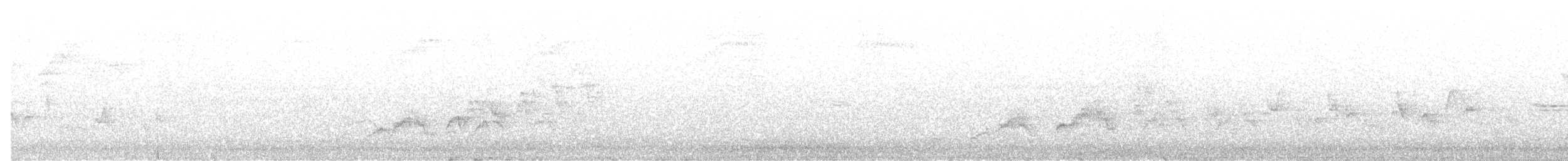 Swainson's Thrush - ML155070621