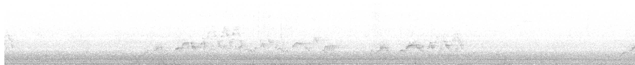 Swainson's Thrush - ML155070631