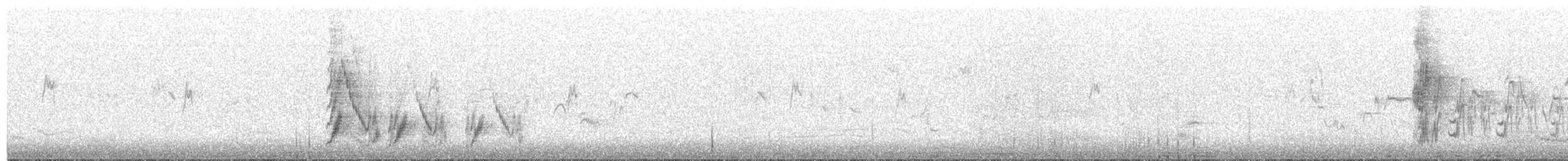 Boğmaklı Ardıç (amicorum) - ML155129821