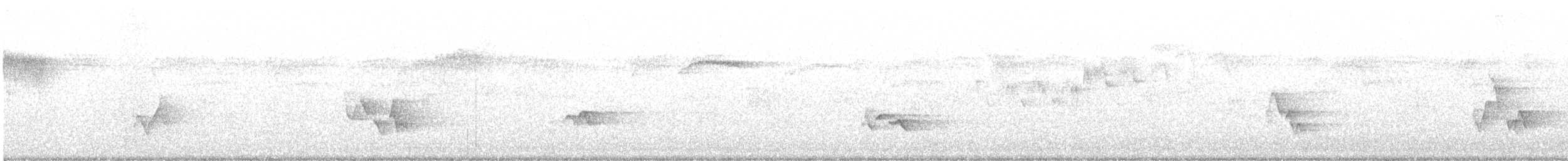 Vireo occhirossi - ML155188661