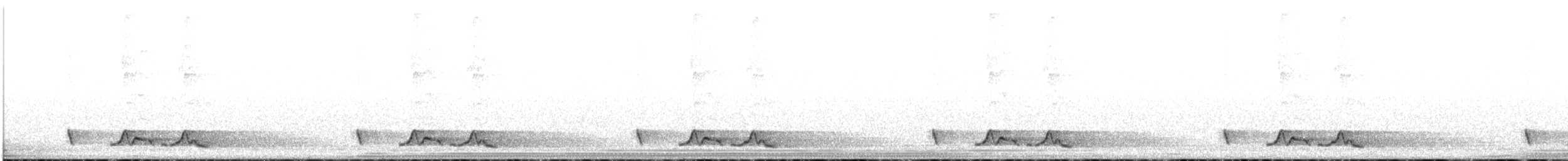 Carolinanachtschwalbe - ML155212241