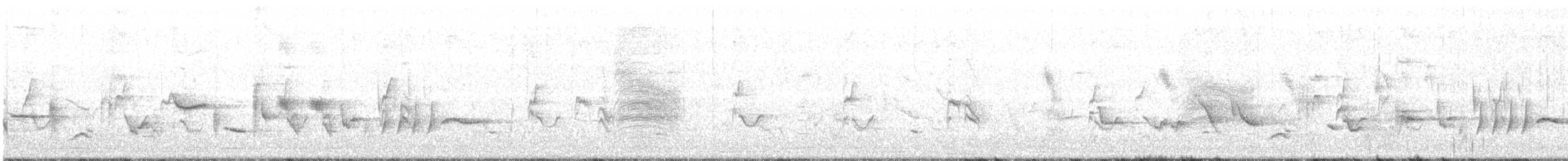 Oriole des vergers - ML155236111