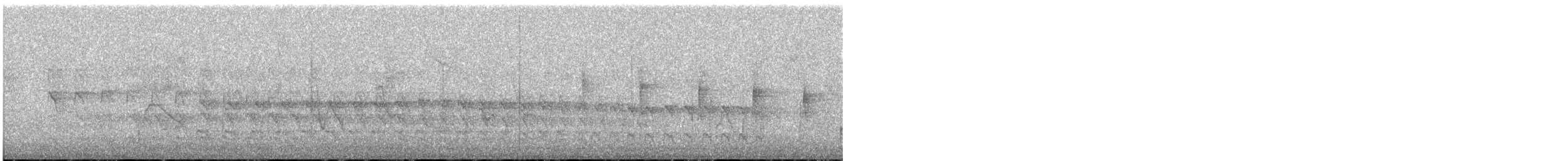 Grauschwanz-Dickichtschlüpfer - ML155236601