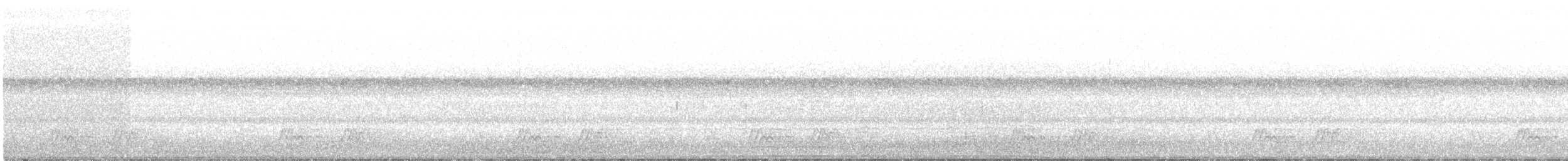 Carolinanachtschwalbe - ML155251191