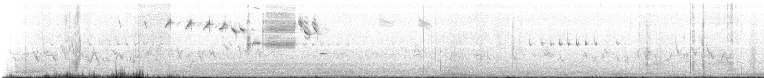 Savannah Serçesi [guttatus grubu] - ML155252991