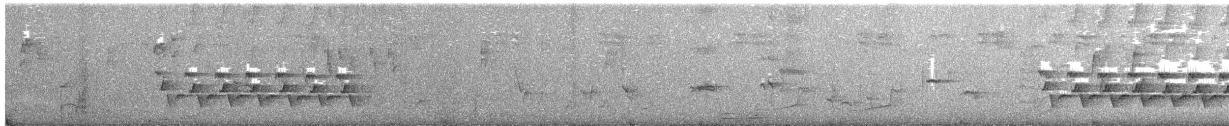 Поплітник каролінський - ML155279361
