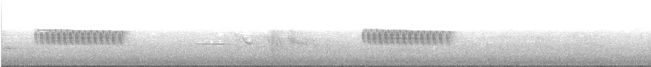 Junco ardoisé (groupe oreganus) - ML155299061