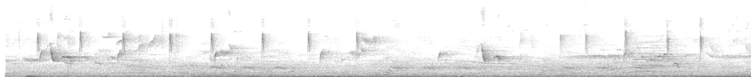 Gri Başlı Kanarya Sinekkapanı - ML155324911
