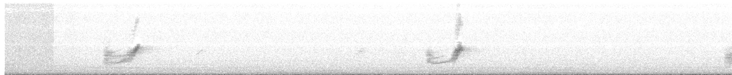 Tohi à flancs roux - ML155346471