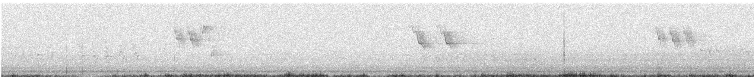 Горная трясогузка - ML155352621