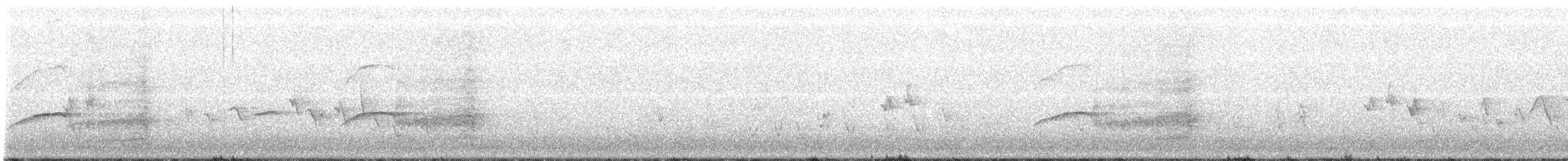 White-tailed Kite - ML155395001