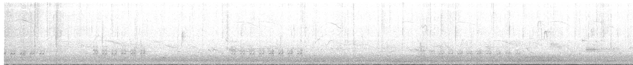 Beyaz Göğüslü Sıvacı (carolinensis) - ML155401571