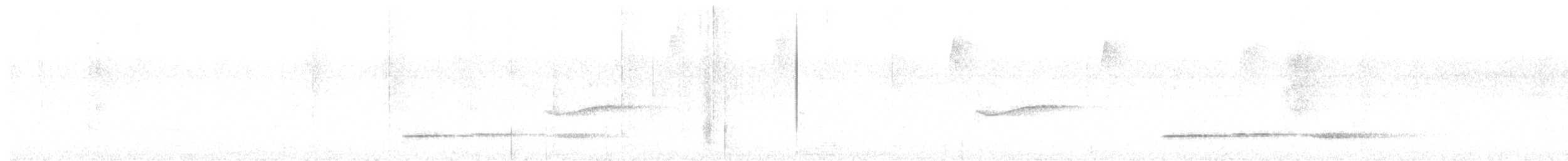 Таязура-клинохвіст велика - ML155445721