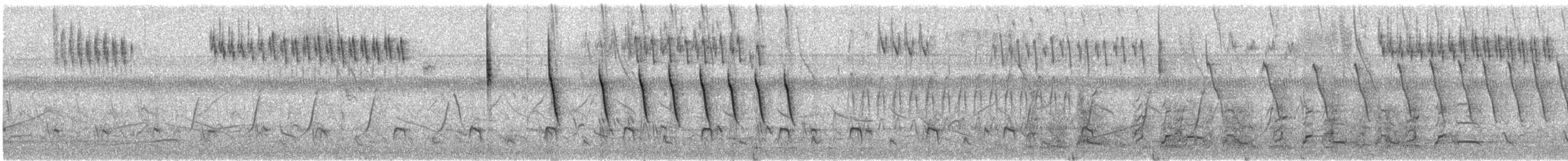 olivenspurv (rufivirgatus gr.) - ML155479241